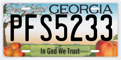 GA license plate PFS5233