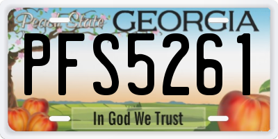 GA license plate PFS5261