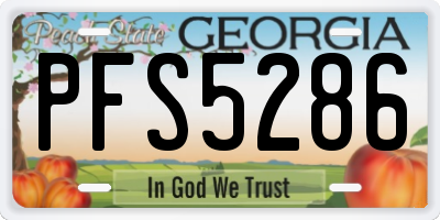 GA license plate PFS5286
