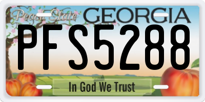 GA license plate PFS5288