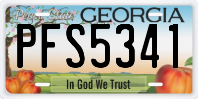 GA license plate PFS5341