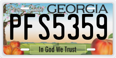 GA license plate PFS5359