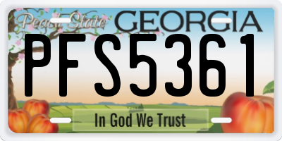 GA license plate PFS5361