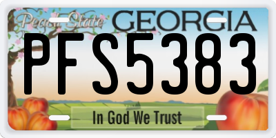 GA license plate PFS5383
