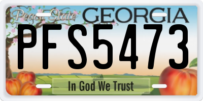 GA license plate PFS5473