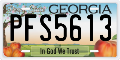 GA license plate PFS5613