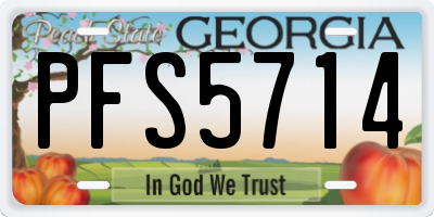 GA license plate PFS5714
