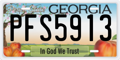 GA license plate PFS5913