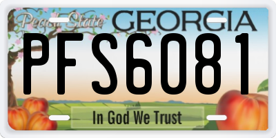 GA license plate PFS6081