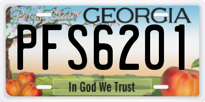 GA license plate PFS6201