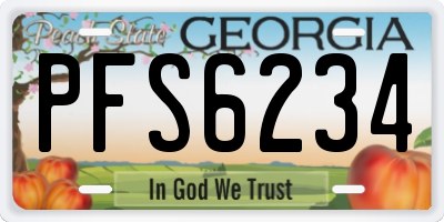 GA license plate PFS6234