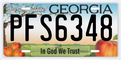 GA license plate PFS6348