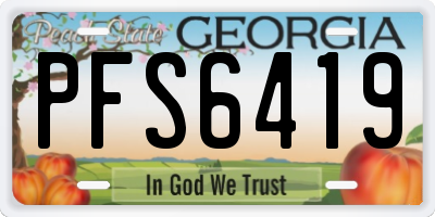 GA license plate PFS6419