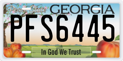 GA license plate PFS6445