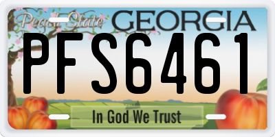 GA license plate PFS6461