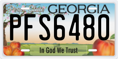 GA license plate PFS6480