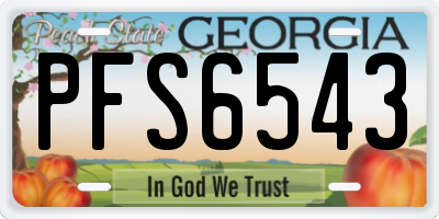 GA license plate PFS6543