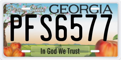 GA license plate PFS6577