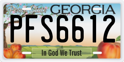 GA license plate PFS6612