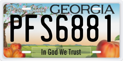 GA license plate PFS6881