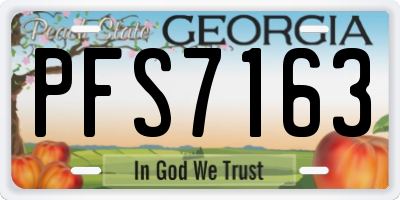 GA license plate PFS7163