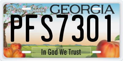 GA license plate PFS7301