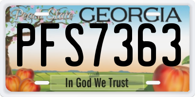 GA license plate PFS7363