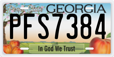 GA license plate PFS7384