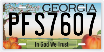 GA license plate PFS7607