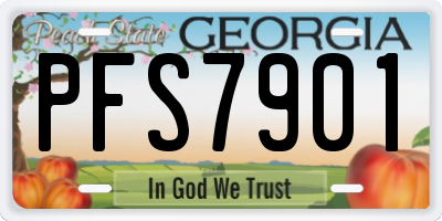 GA license plate PFS7901
