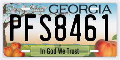 GA license plate PFS8461