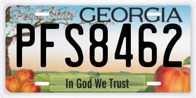 GA license plate PFS8462