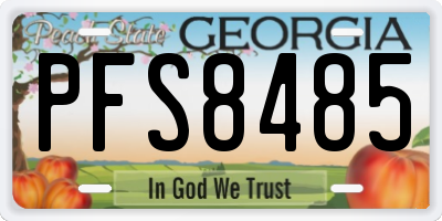 GA license plate PFS8485
