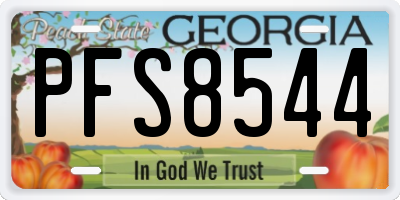 GA license plate PFS8544