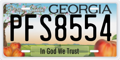 GA license plate PFS8554