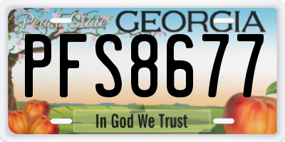 GA license plate PFS8677