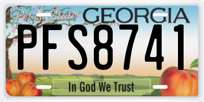 GA license plate PFS8741