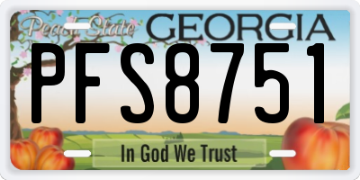 GA license plate PFS8751
