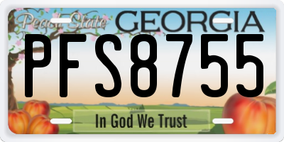 GA license plate PFS8755