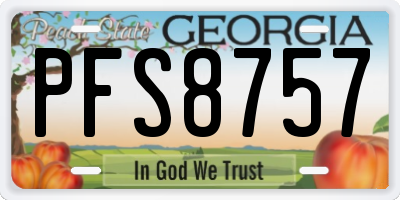GA license plate PFS8757