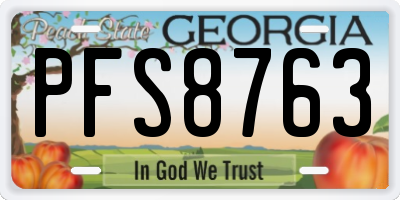 GA license plate PFS8763