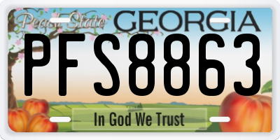 GA license plate PFS8863