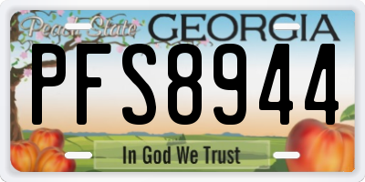 GA license plate PFS8944
