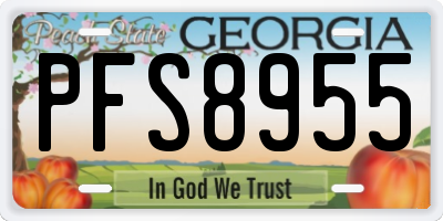 GA license plate PFS8955