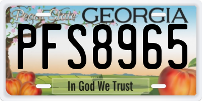 GA license plate PFS8965