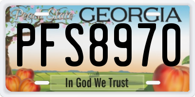 GA license plate PFS8970