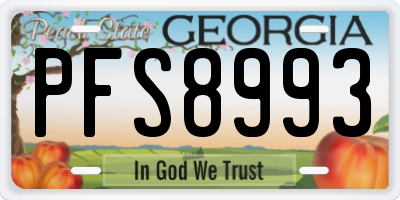 GA license plate PFS8993