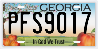 GA license plate PFS9017