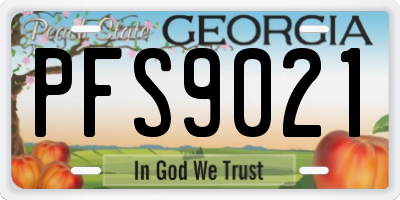 GA license plate PFS9021
