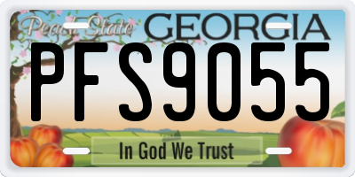 GA license plate PFS9055